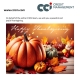 Happy Thanks Giving sign from CCICM with an image of holiday pumpkins and leaves.