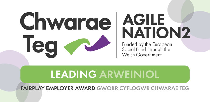 Chwarae Teg Fairplay Employer Award