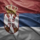 The Serbian Flag