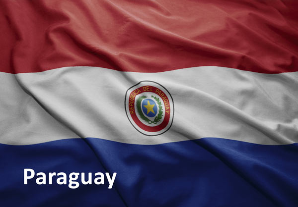 An image of the flag of Paraguay.