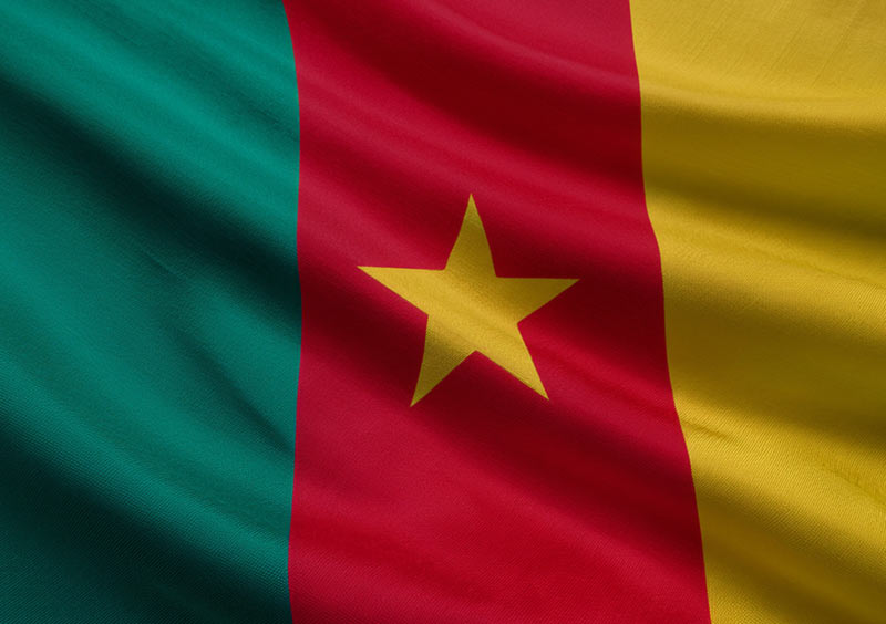 International Debt Collection Cameroon, International Debt Collection – Cameroon